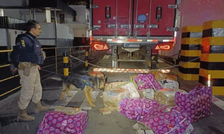 Homem é preso após transportar 400 kg de maconha junto à carga de carne