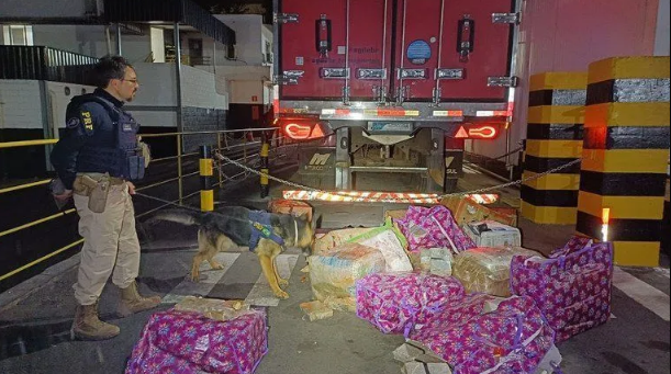 Homem é preso após transportar 400 kg de maconha junto à carga de carne