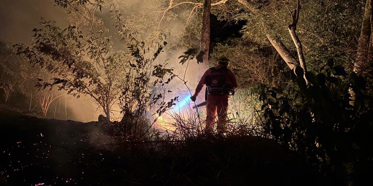 Incêndio em área de reflorestamento foi registrado no município de Cana Verde