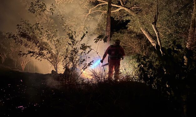 Incêndio em área de reflorestamento foi registrado no município de Cana Verde
