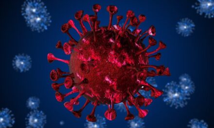 Covid: Brasil registra primeiros casos da nova variante XFG