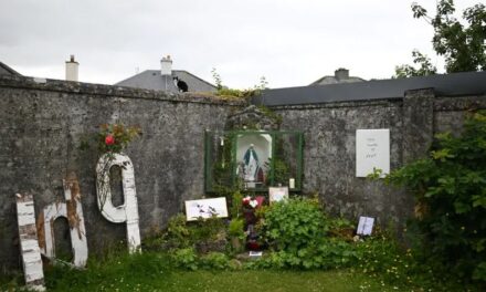 Irlanda inicia escavação de vala comum com corpos de quase 800 bebês