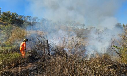 Fogo consome 6.500 m² de vegetação na região do campo Estrelinha, em Formiga