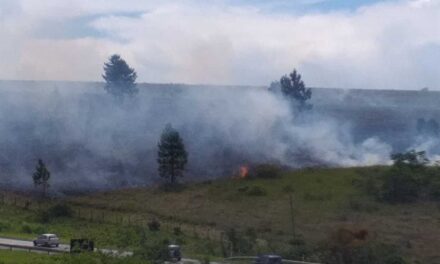 Focos de incêndio caem 56% em rodovias sob concessão da Via Nascentes