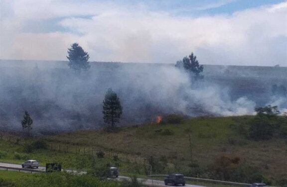 Focos de incêndio caem 56% em rodovias sob concessão da Via Nascentes