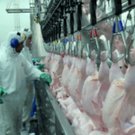 China condiciona retomada de importação de frango à resposta de questionário técnico pelo Brasil