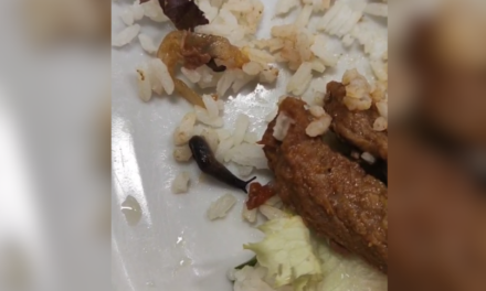 Lesma é encontrada em prato servido no restaurante do CEFET, em Divinópolis