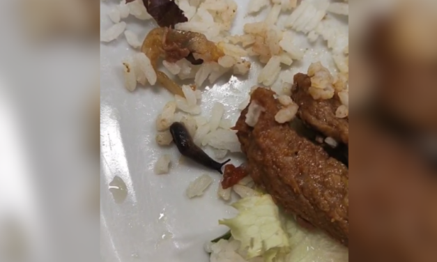Lesma é encontrada em prato servido no restaurante do CEFET, em Divinópolis