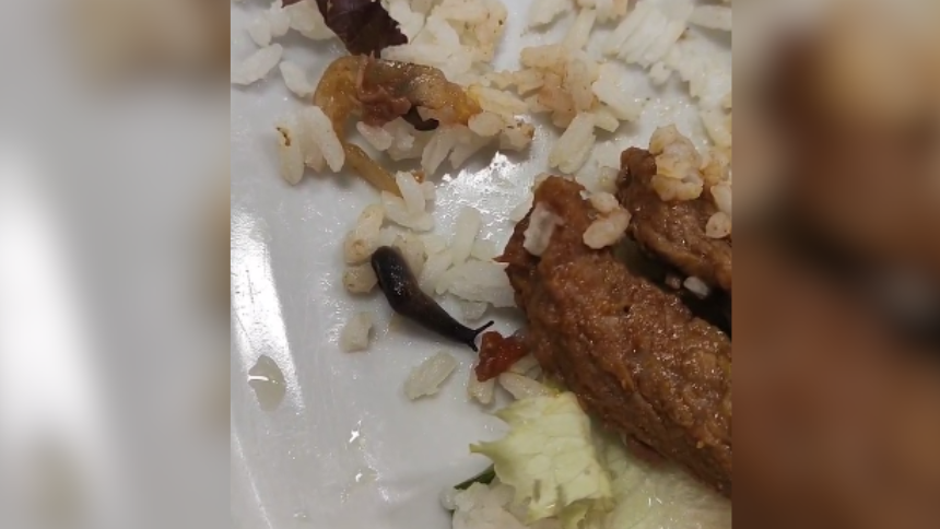 Lesma é encontrada em prato servido no restaurante do CEFET, em Divinópolis