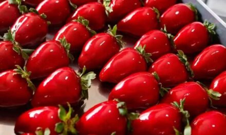 Morango do amor: confeitaria vende 3 mil unidades por dia no RJ