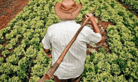 Lula autoriza uso de 12 mil hectares para reforma agrária e assentamentos