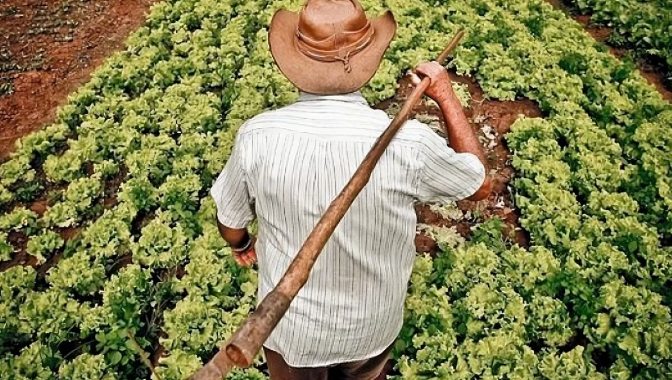 Lula autoriza uso de 12 mil hectares para reforma agrária e assentamentos