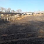 Incêndio consome 14 hectares de vegetação, em Pains