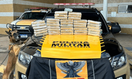 Mulher é presa com 38 barras de maconha; suspeita receberia R$3 mil pelo transporte