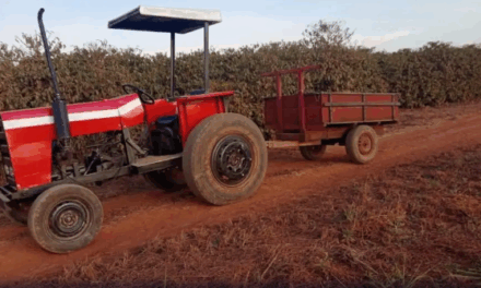 Criança morre após ser atropelada por trator na zona rural de Lajinha (MG)