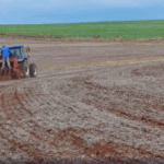 Chuvas no Rio Grande do Sul atrasam semeadura do trigo
