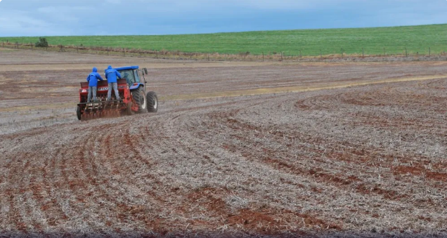 Chuvas no Rio Grande do Sul atrasam semeadura do trigo