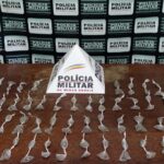 Adolescente é apreendido com mais de 100 buchas de maconha durante operação da PM em Pará de Minas