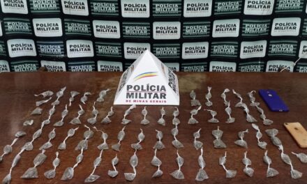 Adolescente é apreendido com mais de 100 buchas de maconha durante operação da PM em Pará de Minas
