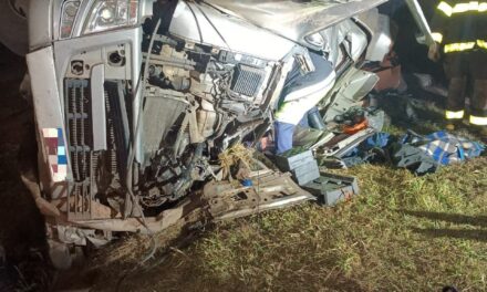 Motorista morre após capotamento de carreta na BR-381, em Carmópolis de Minas