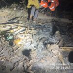 Idosa com Alzheimer é resgatada por bombeiros em área de mata em Formiga