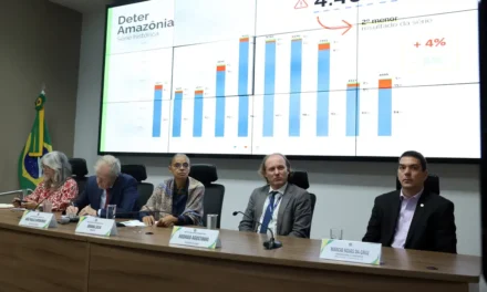 Amazônia registra aumento de desmatamento; Cerrado e Pantanal apresentam queda, aponta Inpe