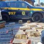 Carga com 1.400 aves silvestres em situação de maus-tratos é apreendida pela PRF na BR-040