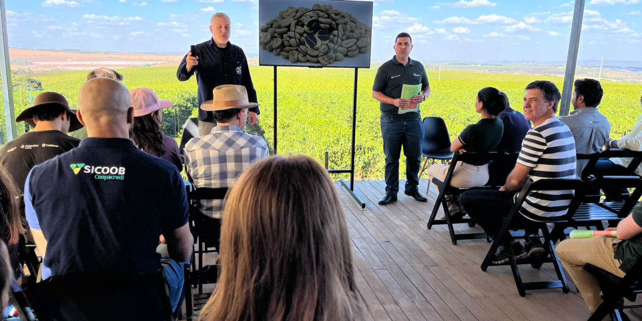 BDMG abre inscrições para curso gratuito em agricultura regenerativa