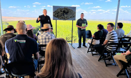 BDMG abre inscrições para curso gratuito em agricultura regenerativa
