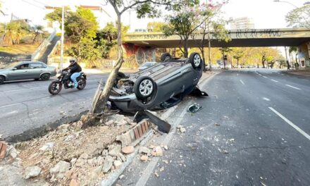 Carro capota após bater em árvore e causa transtornos no trânsito em BH