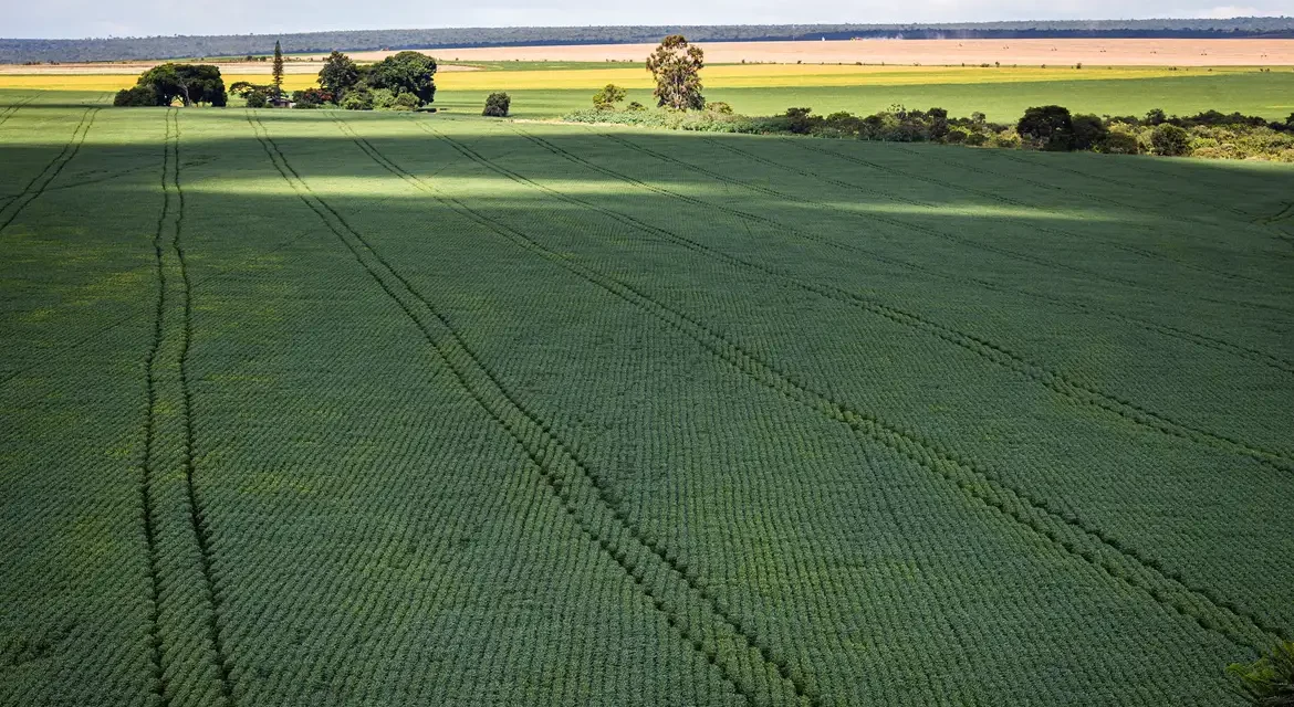Agronegócio brasileiro quer se apresentar como solução climática na COP30, apesar de críticas internacionais