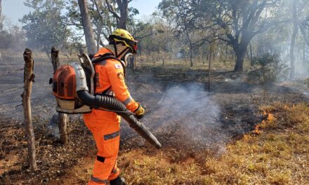 Incêndio atinge área de vegetação no bairro Floresta, em Córrego Fundo