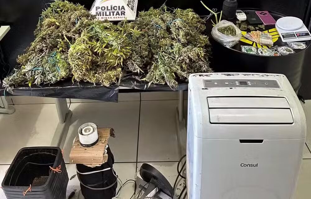 Dois homens são presos por cultivo de maconha em residência monitorada pela PM em Pará de Minas