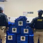 PRF apreende 736 kg de maconha e prende dois homens na BR-251