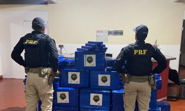 PRF apreende 736 kg de maconha e prende dois homens na BR-251
