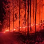 Incêndio de grandes proporções atinge área de vegetação em Campo Belo