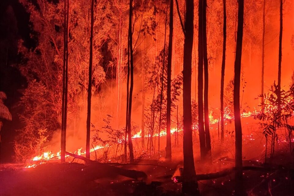 Incêndio de grandes proporções atinge área de vegetação em Campo Belo
