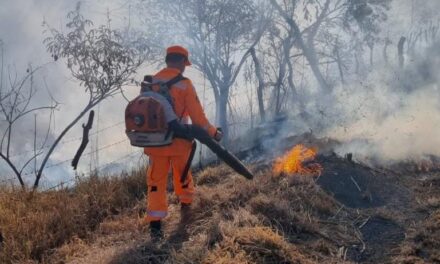 Incêndio às margens da BR-354 mobiliza Corpo de Bombeiros em Formiga