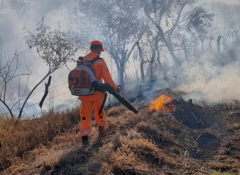 Incêndio às margens da BR-354 mobiliza Corpo de Bombeiros em Formiga