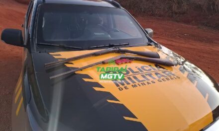 PM Rodoviária apreende armas de fogo na MG-176, em Luz