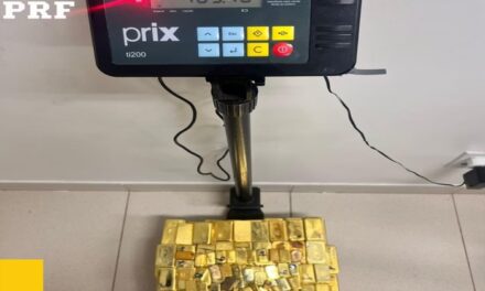 PRF apreende mais de 100 kg de ouro avaliados em R$ 60 milhões na BR-401; veja o vídeo