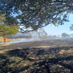 Incêndio atinge área rural e mobiliza Corpo de Bombeiros em Formiga