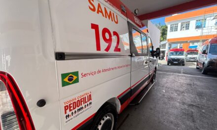 Homem morre após ataque de abelhas em Divinópolis