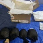 Chinês é detido ao tentar contrabandear mais de 850 tartarugas vivas dos EUA para Hong Kong