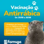 Zona rural de Formiga terá vacinação antirrábica do dia 25 a 30 de agosto