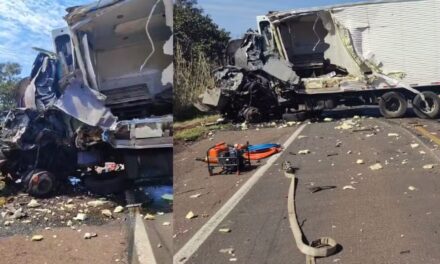 Colisão entre caminhão e carreta deixa dois mortos na BR-262