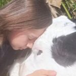 Menina compra bezerro com R$ 50 e afirma: ‘’Não vai virar churrasco’’