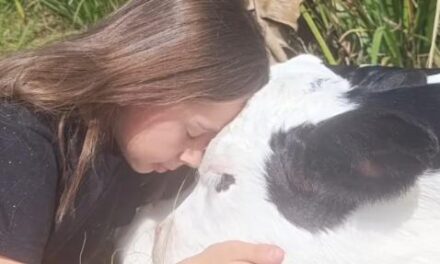 Menina compra bezerro com R$ 50 e afirma: ‘’Não vai virar churrasco’’