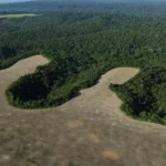 Brasil perde 111,7 milhões de hectares de áreas naturais em 40 anos, revela MapBiomas