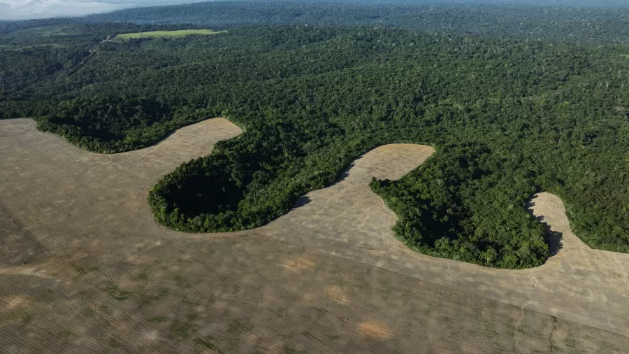 Brasil perde 111,7 milhões de hectares de áreas naturais em 40 anos, revela MapBiomas